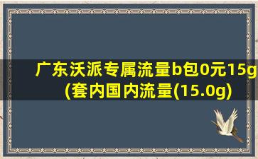 广东沃派专属流量b包0元15g (套内国内流量(15.0g))